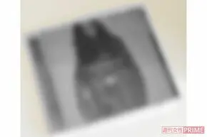 ぼかされた写真